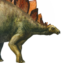Персонажи Stegosaurus (динозавры)