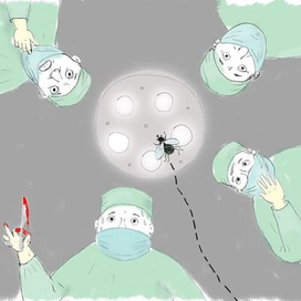 иллюстрация в "Русский пионер"