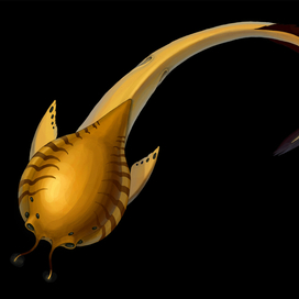 Золотой мир - панцирная рыба