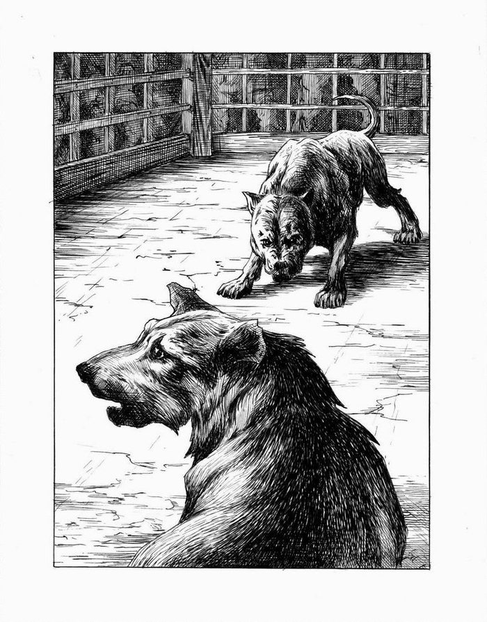 Перед схваткой