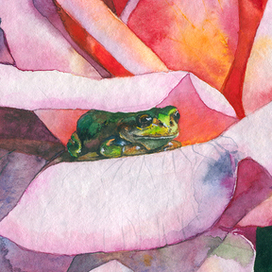 Лягушка и роза