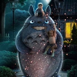 Наш сосед Тоторо