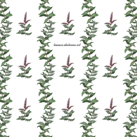 "Цветущая мята"