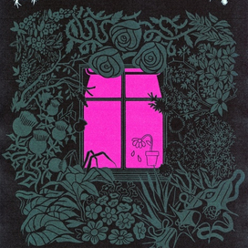 Джунгли Зовут