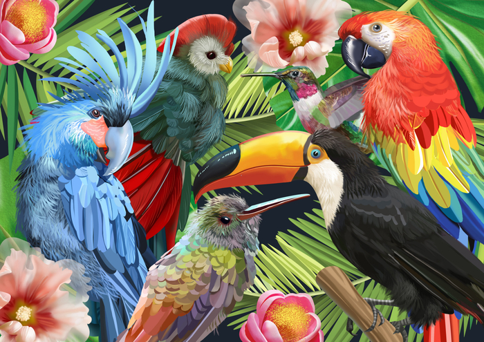 Принт "Тропические птицы" для компании Faberlic