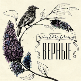 обложка альбома группы winterspring