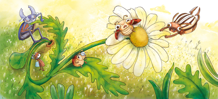 Предполетная тренировка