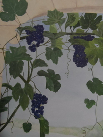 Арка с виноградной лозой