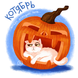 Осень и котики