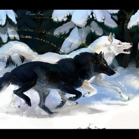 Начало и Конец.