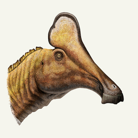 Amurosaurus