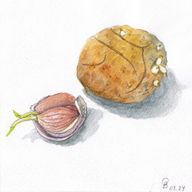 Скетч "Повсюду жизнь"