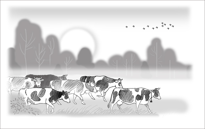 Прорисовка под акварель к новой книге, в дальнейшем сюжеты весьма любопытные