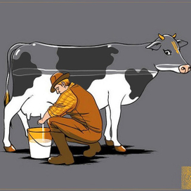 практичная дойка