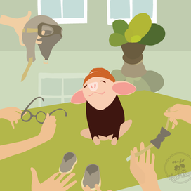 Нега внимания