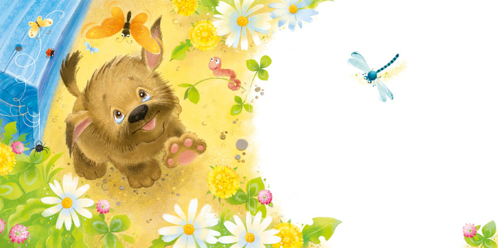 кто здесь летает?