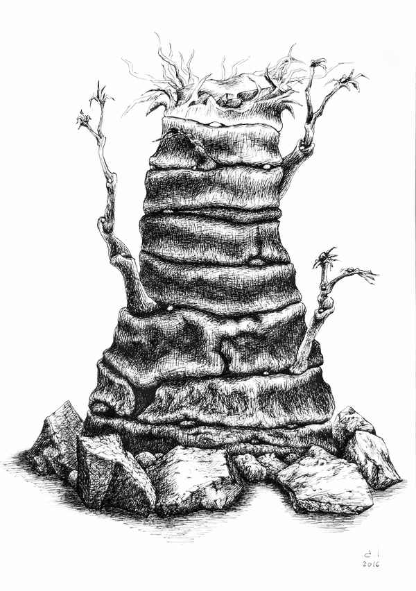 твердокаменный упрямец