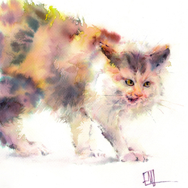 Сердитый кот