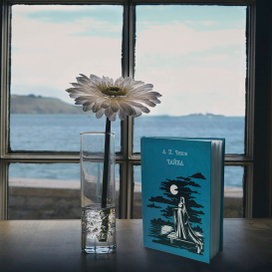 Книга по пьесе Чехова"Чайка"