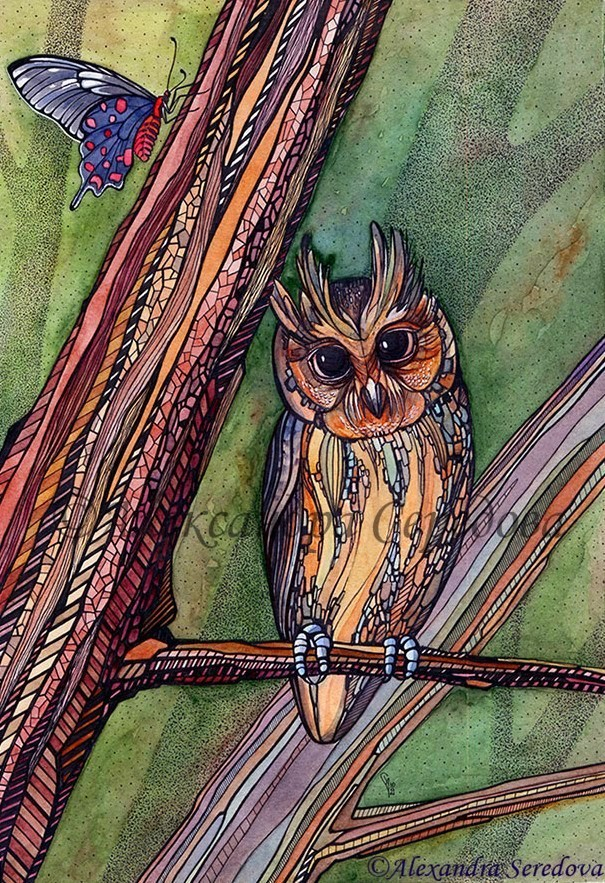 Совушки. Филипинская совка