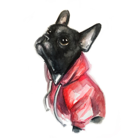 Французский бульдог