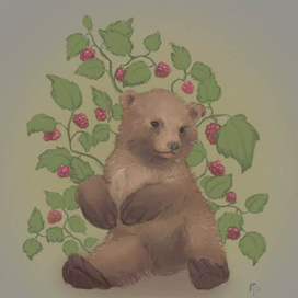 Медвежонок