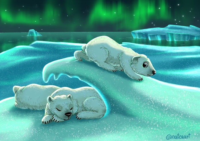 Мишка сбегает на поиски приключений