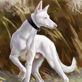 Поденко ибиценко