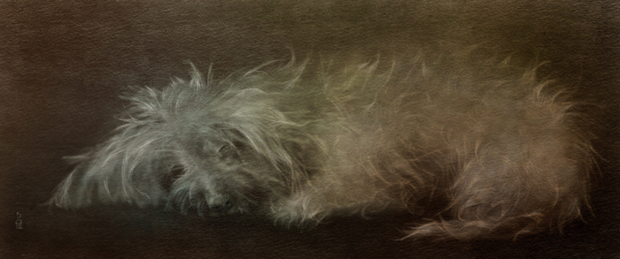 Доброй ночи!