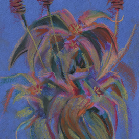 Orquídea em desalinho eternamente bêbado