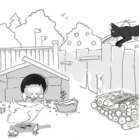 Похищение косточки у Дружка