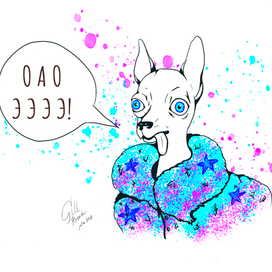 Чихуа Хуа - принт