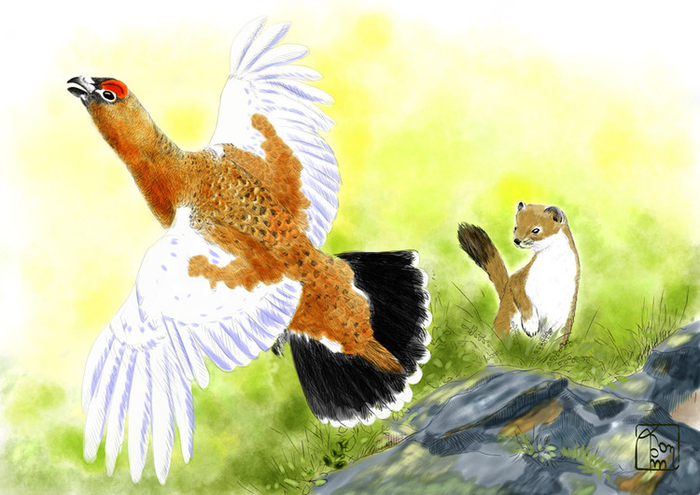 Несостоявшийся обед