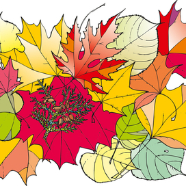 Осень. В цвете :-))