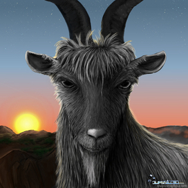 козля уходят