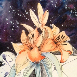Космическая лилия 1