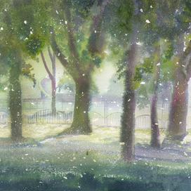 Тополиный пух