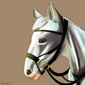 Лошадь. Подарок на день рождения подруги.