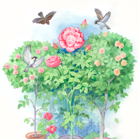 Воробьи и роза