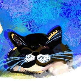 Кот медитативный