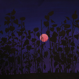 Ночь. Подсолнухи.