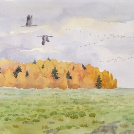 октябрь в заказнике "Журавлиная Родина"