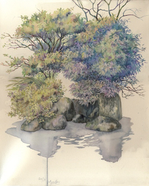 таинственный остров