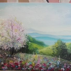 раннее лето