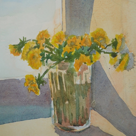 Одуванчики