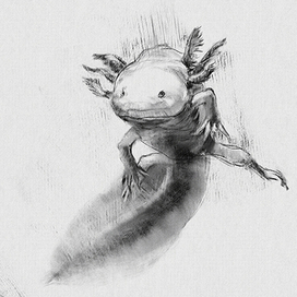 Набросочки перед сном 2