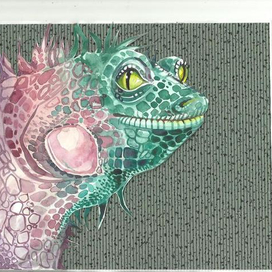 ящер-маленький брат дракона )