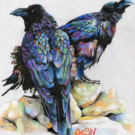 моя любимая птица