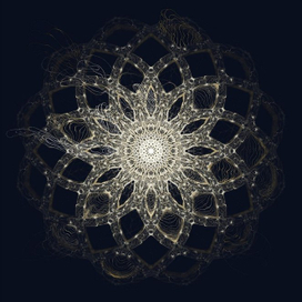 Жизнь в пустоте