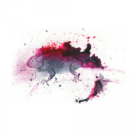 Монотипия. Ящерица